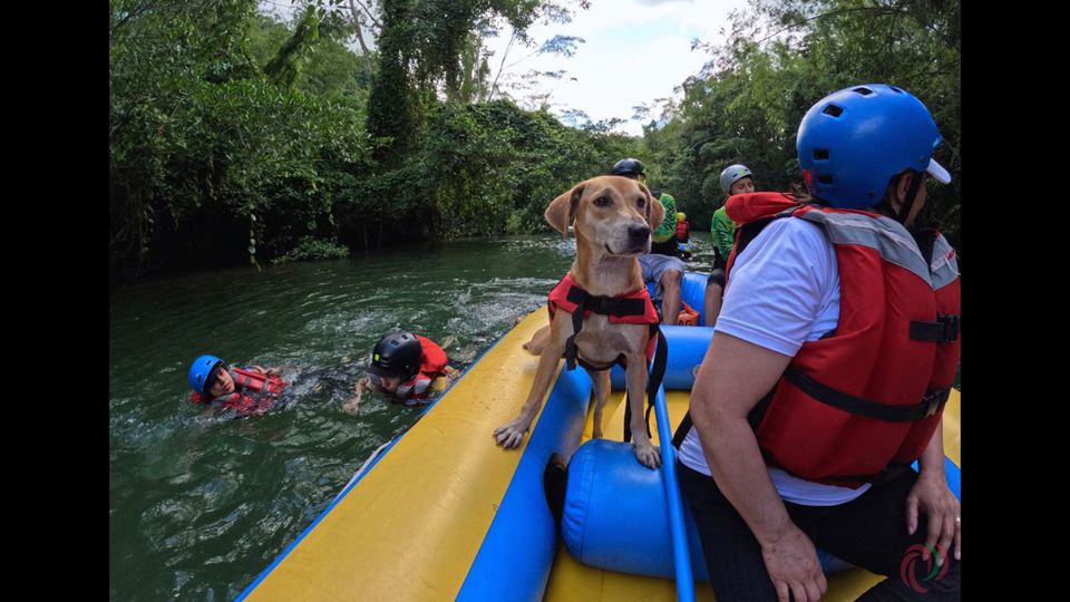 Excursão Ao Rio Claro: Rafting E Caverna Do Condor foto 3