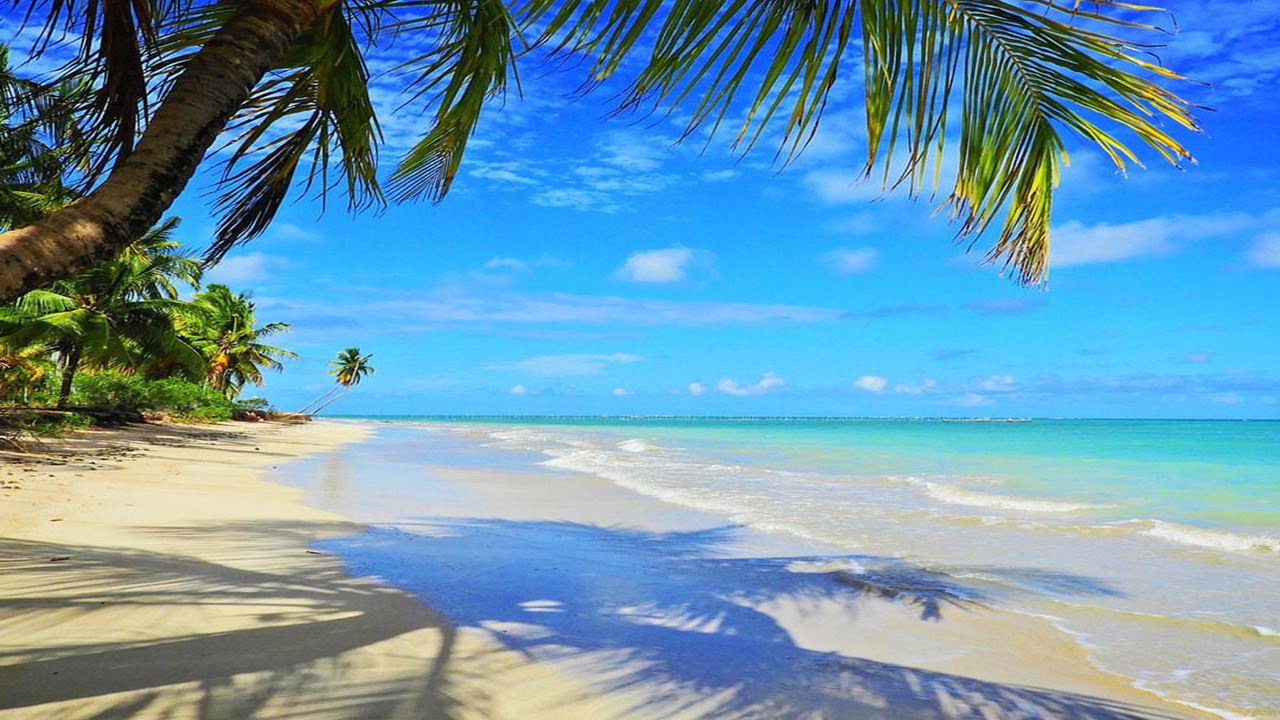 Tour A São Miguel Dos Milagres foto 7