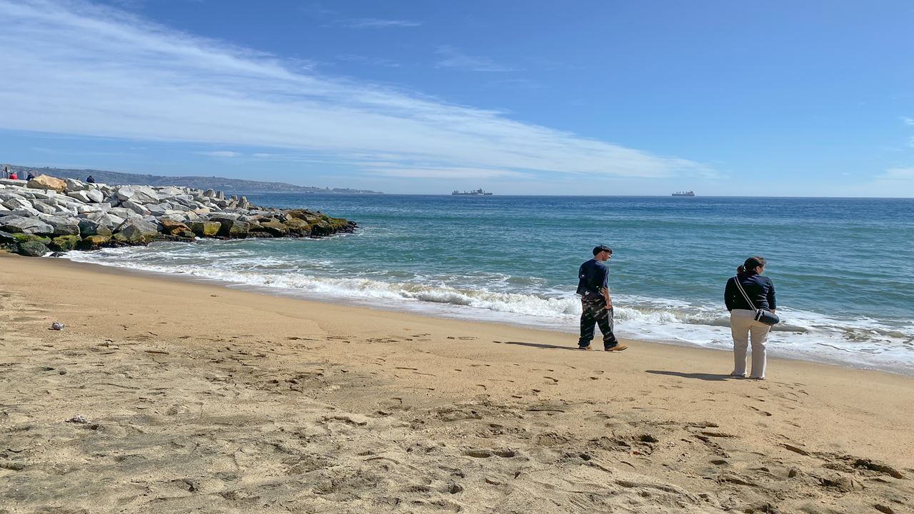 Tour A Valparaíso Y Viña Del Mar. (19)