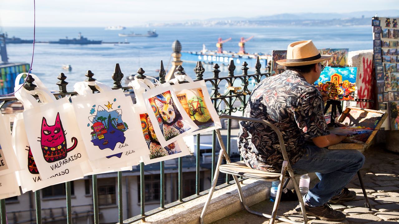 Tour A Valparaíso Y Viña Del Mar. (6)