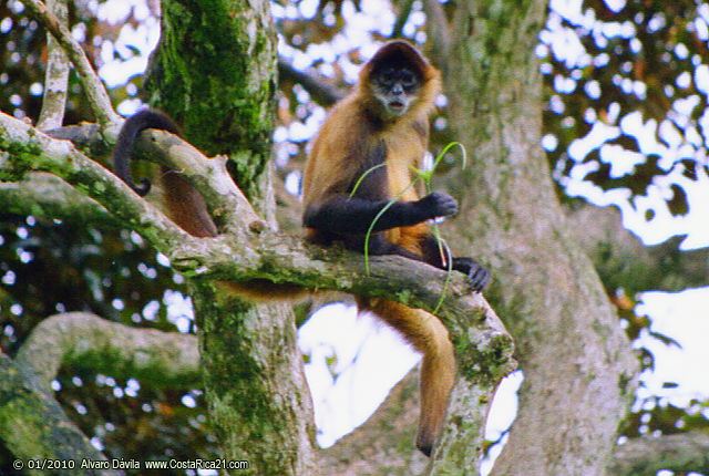 Tour Al Bosque Humedo San Sebastian foto 6