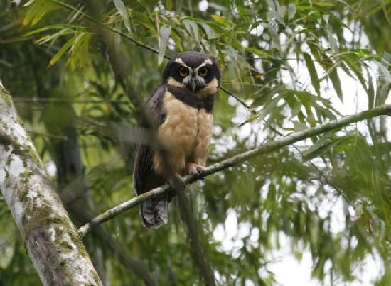 Tour Al Bosque Humedo San Sebastian foto 4