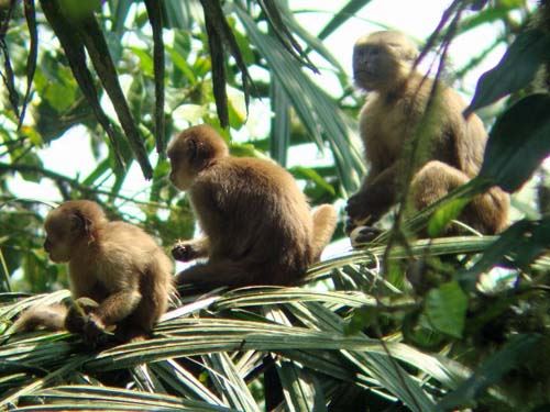 Tour Al Bosque Humedo San Sebastian foto 8