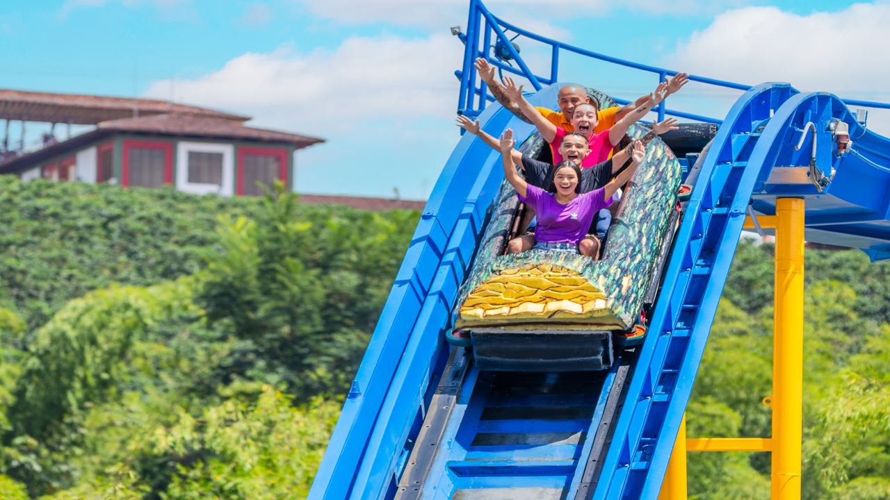 Passeio Pelo Parque Do Café foto 9