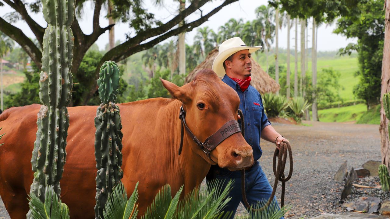 Tour Al Parque Panaca foto 3