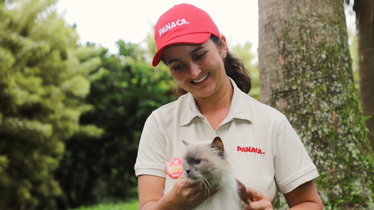 Tour Al Parque Panaca foto 2