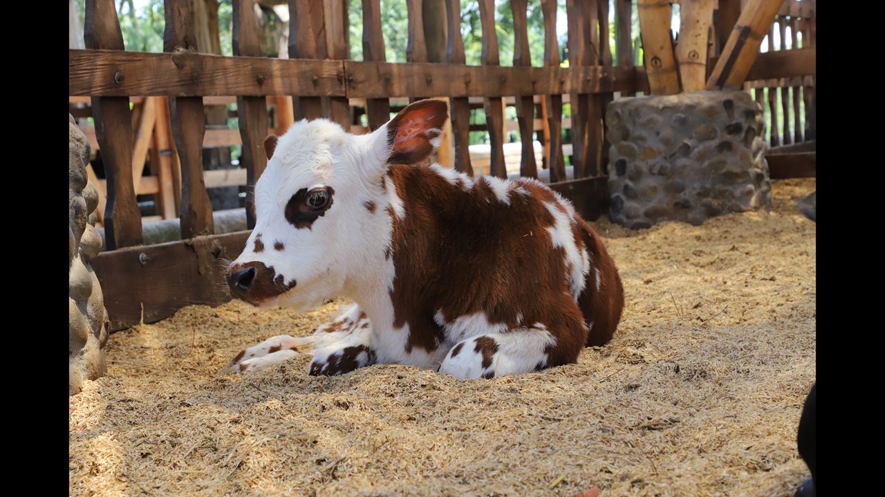 Tour Al Parque Panaca foto 10