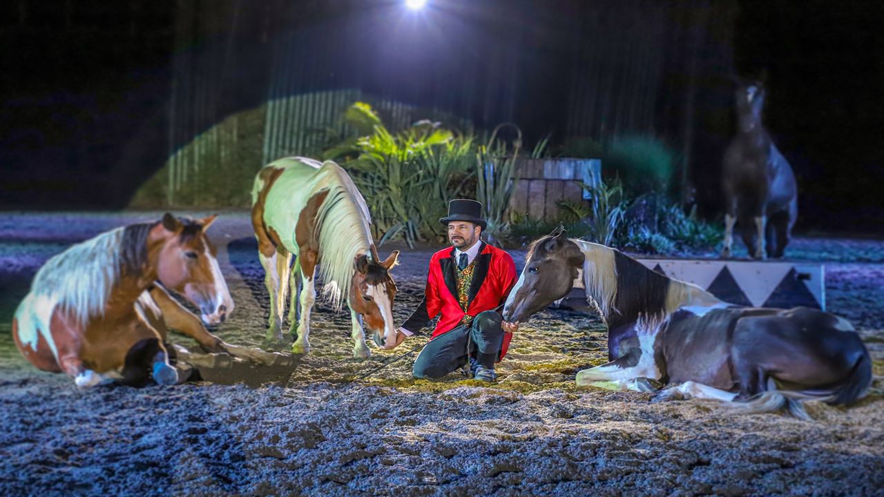 Tour Al Parque Panaca foto 9