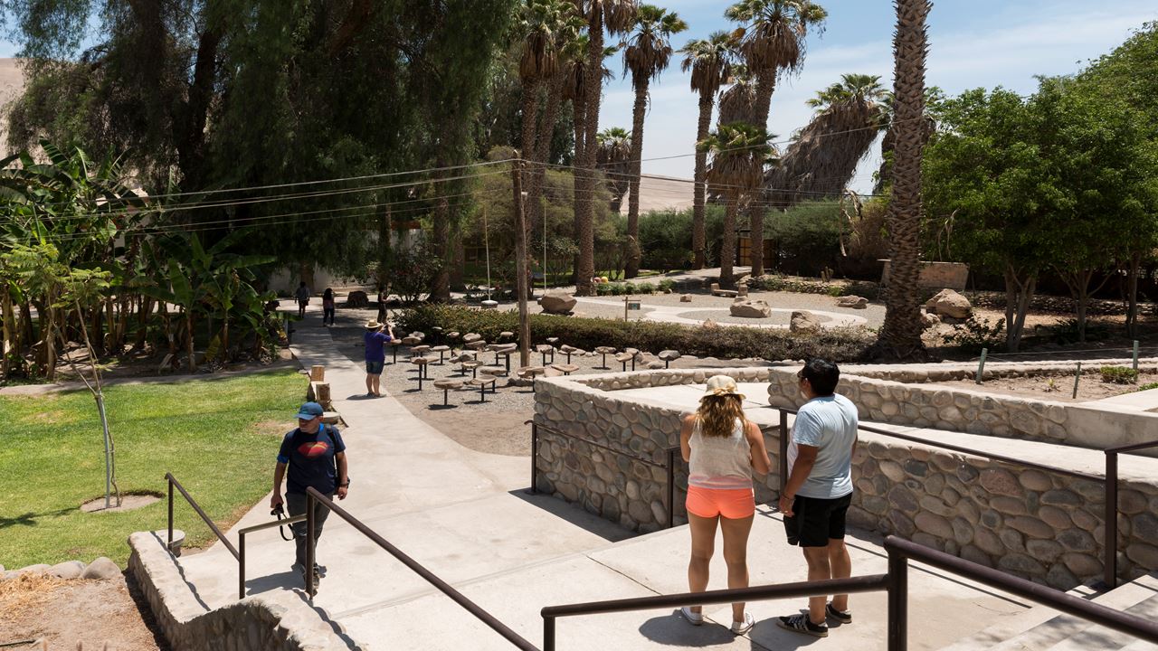 Passeio Arqueológico Ao Vale De Azapa foto 9