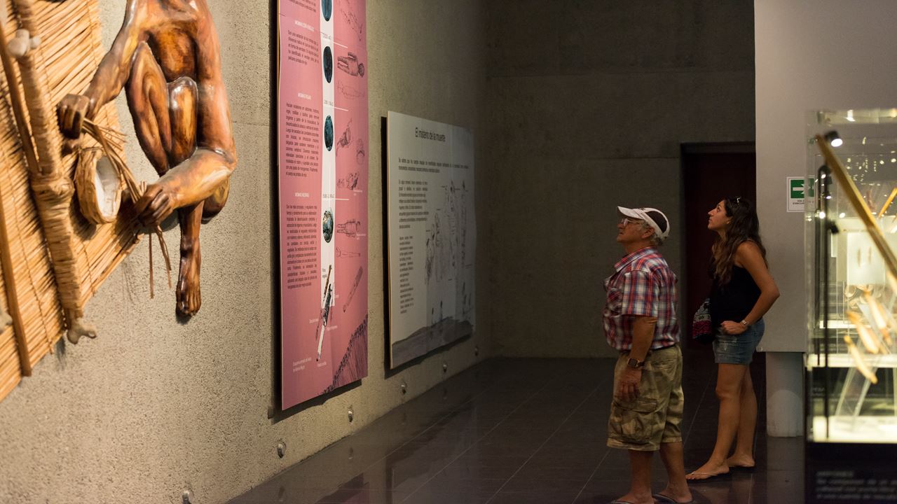 Passeio Arqueológico Ao Vale De Azapa foto 5