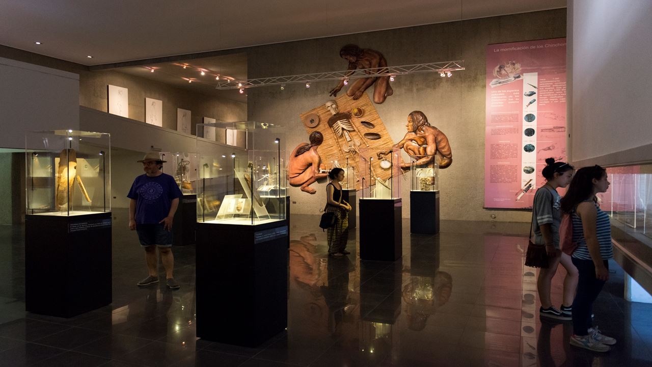 Passeio Arqueológico Ao Vale De Azapa foto 3