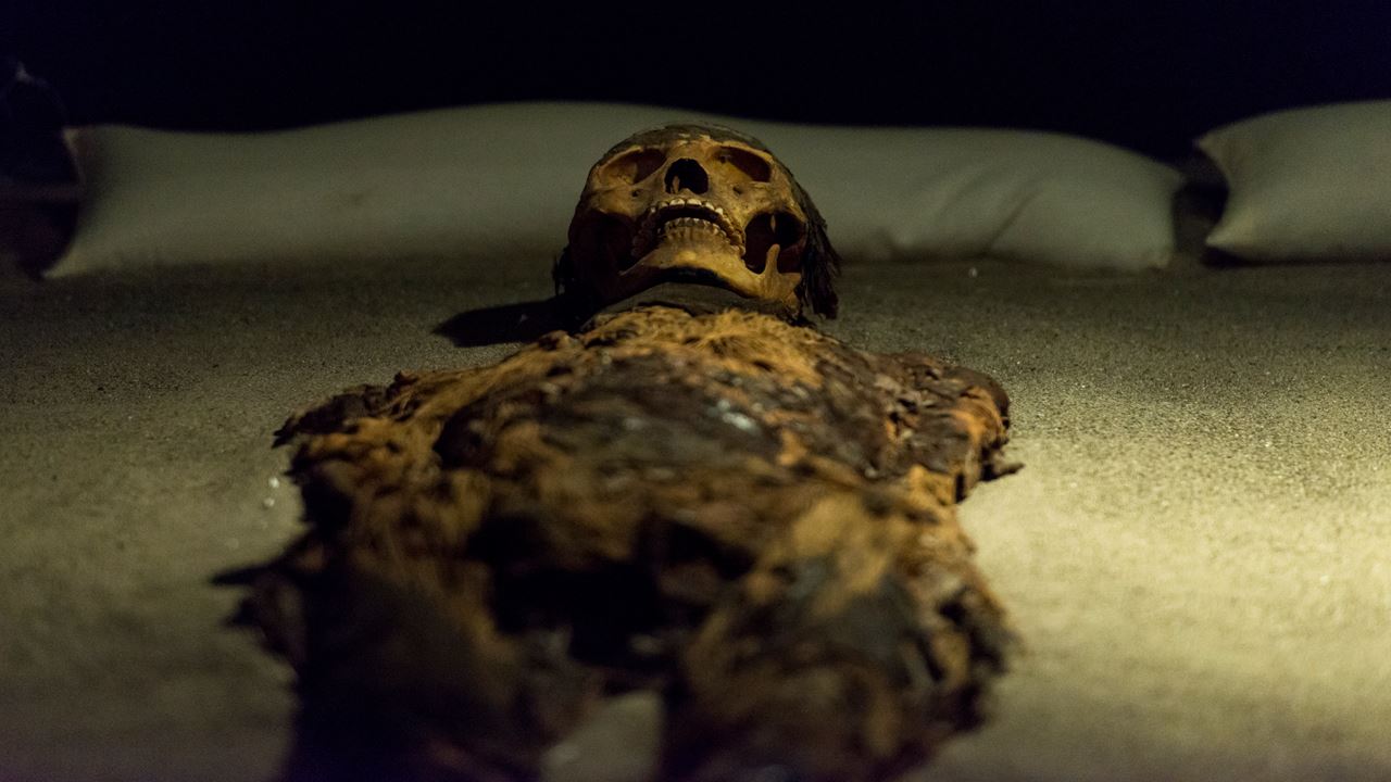 Passeio Arqueológico Ao Vale De Azapa foto 4