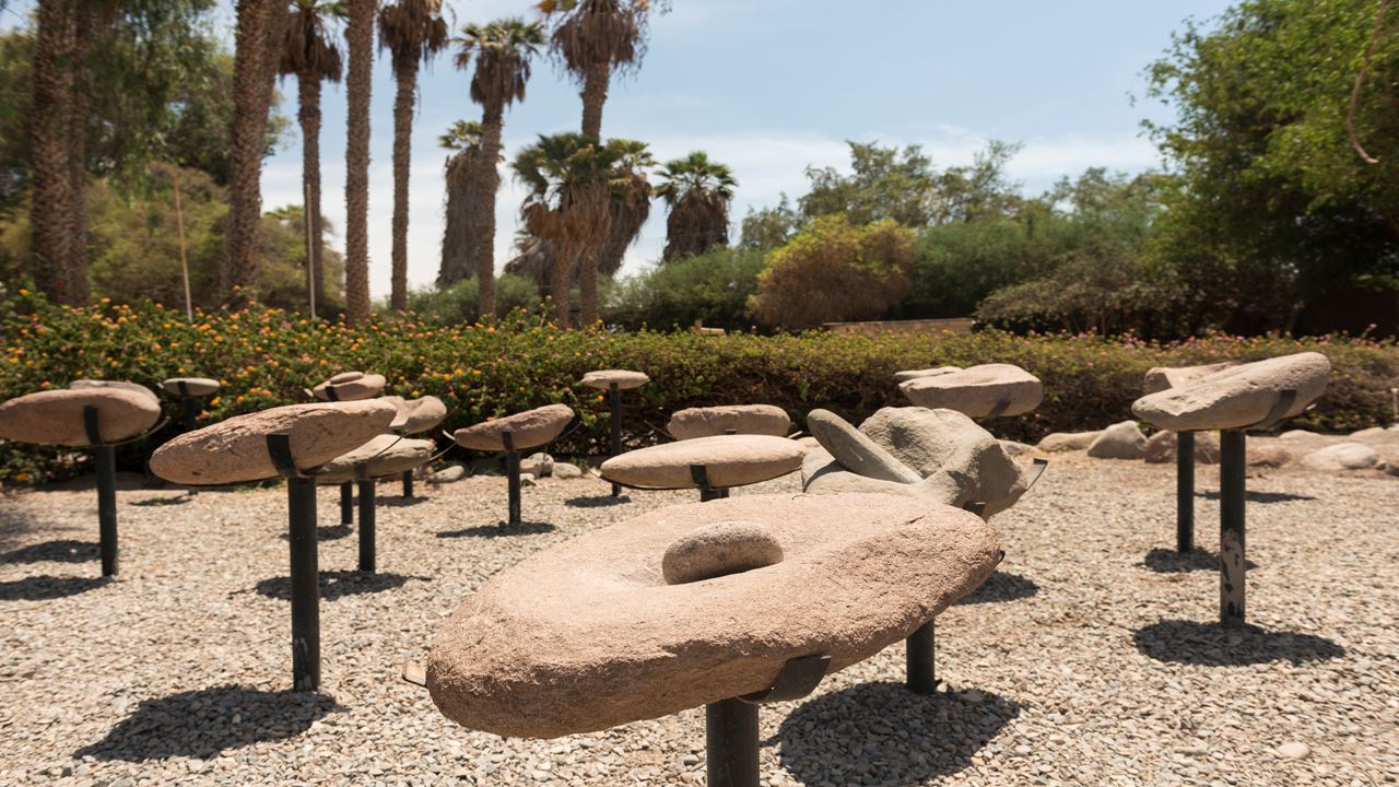 Passeio Arqueológico Ao Vale De Azapa foto 7