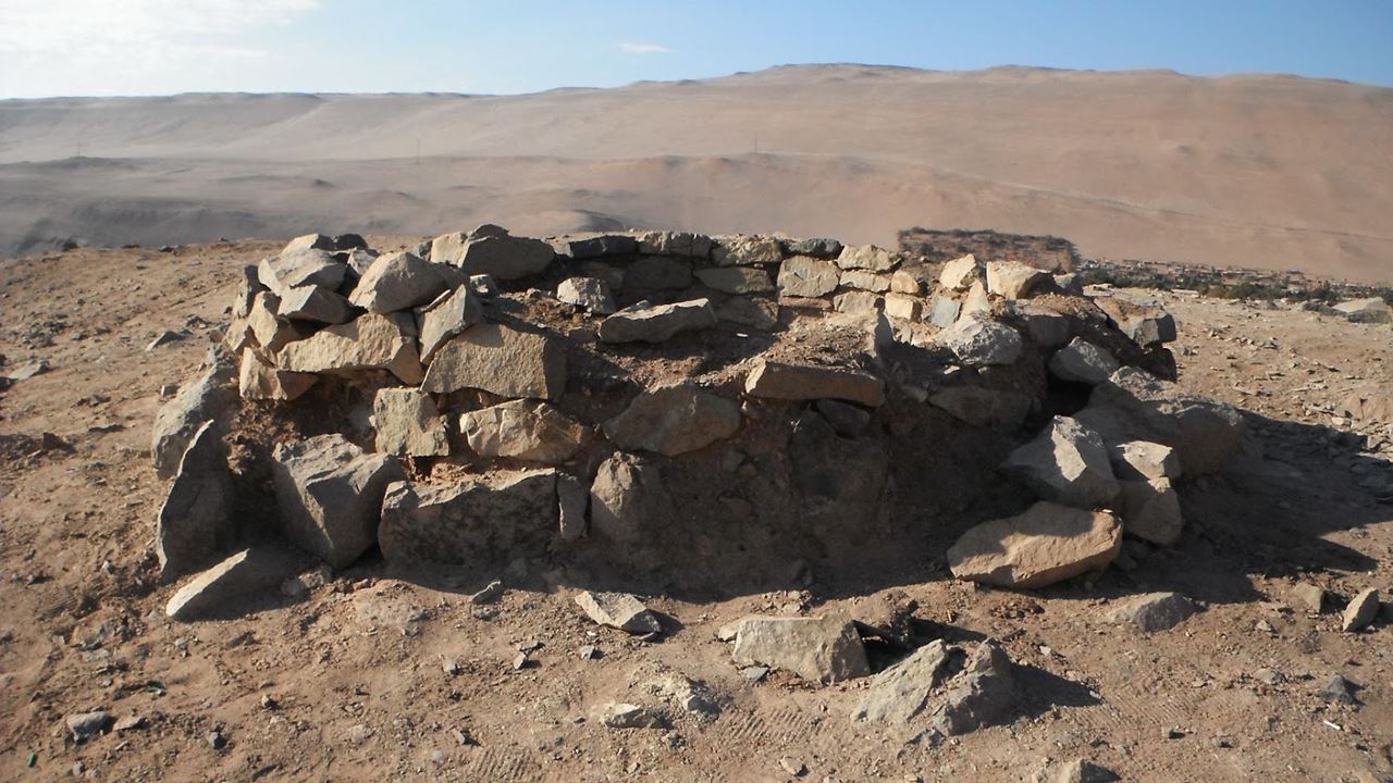 Passeio Arqueológico Ao Vale De Azapa foto 1