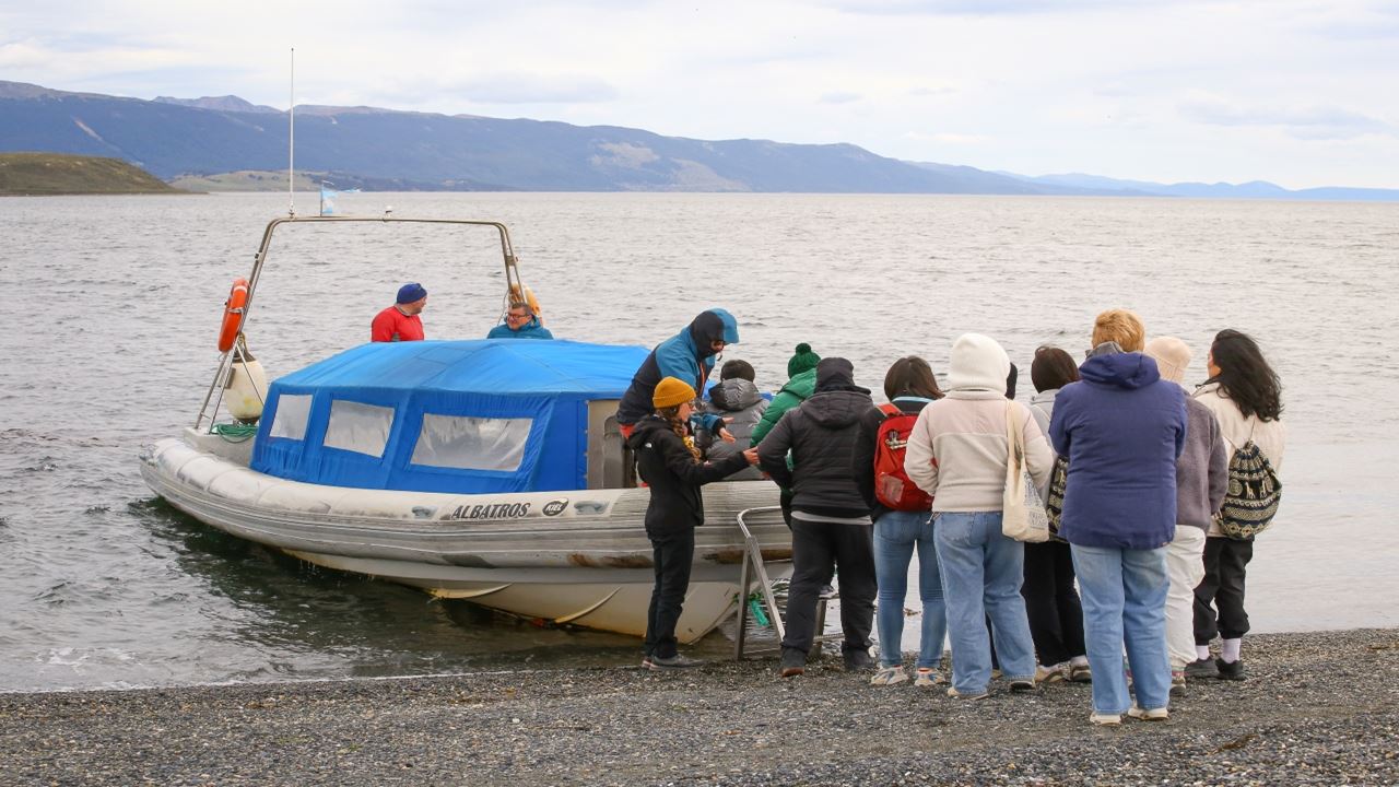 Penguin Watching Tour In Martillo Island (10)