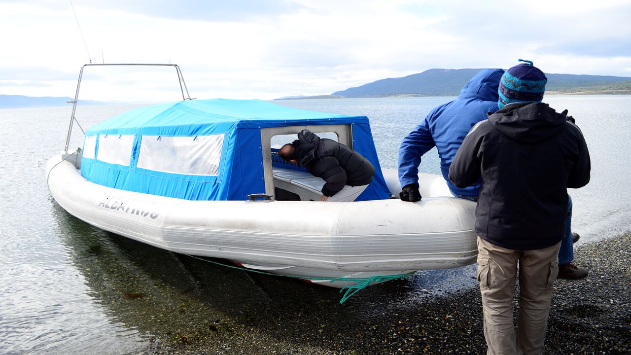 Penguin Watching Tour In Martillo Island (4)
