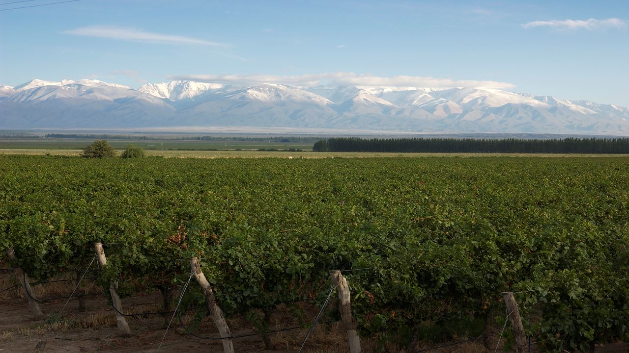Wine Tasting (3)