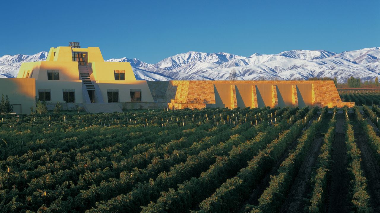 Wine Tasting (4)