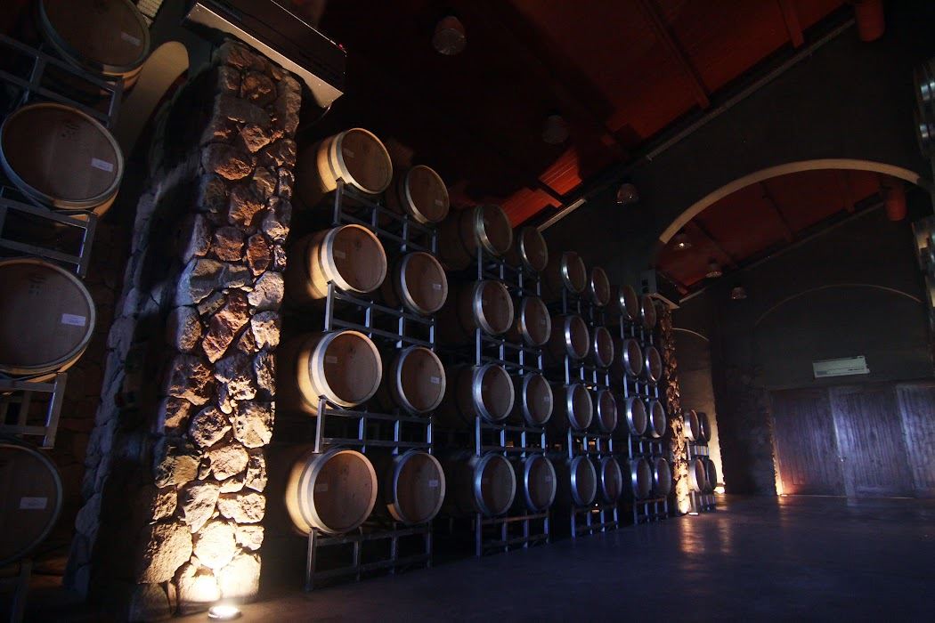 Wine Tasting (6)