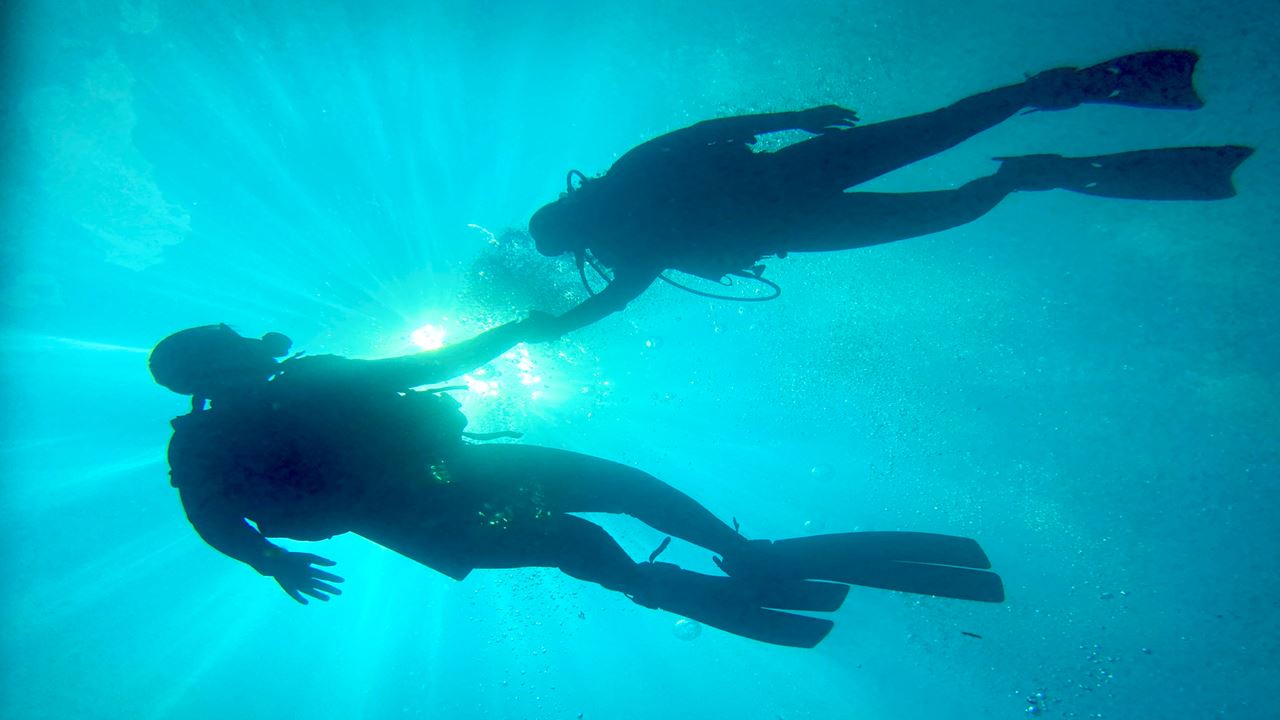 Excursão De Mergulho Em Machalilla: Vida Marinha E Águas Cristalinas foto 3