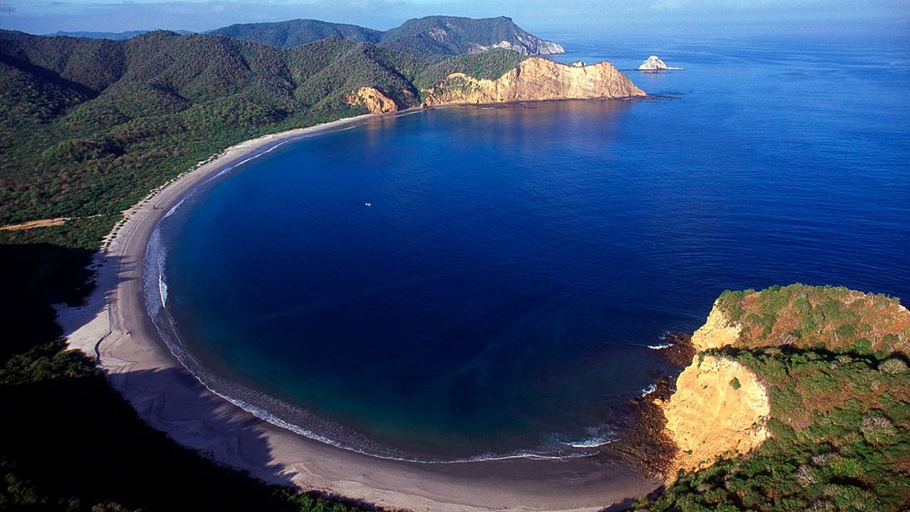 Excursão De Mergulho Em Machalilla: Vida Marinha E Águas Cristalinas foto 10
