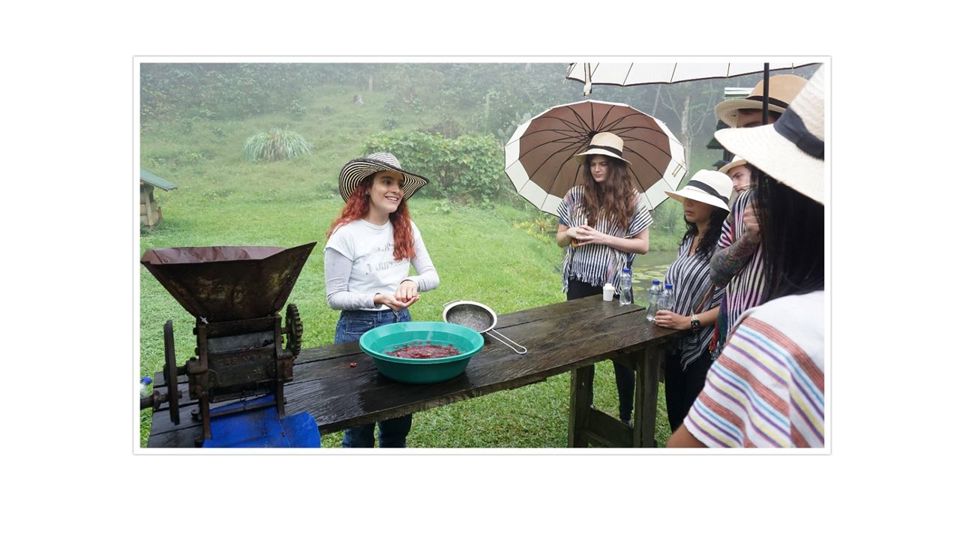 Passeio De Café Em Santa Elena foto 8