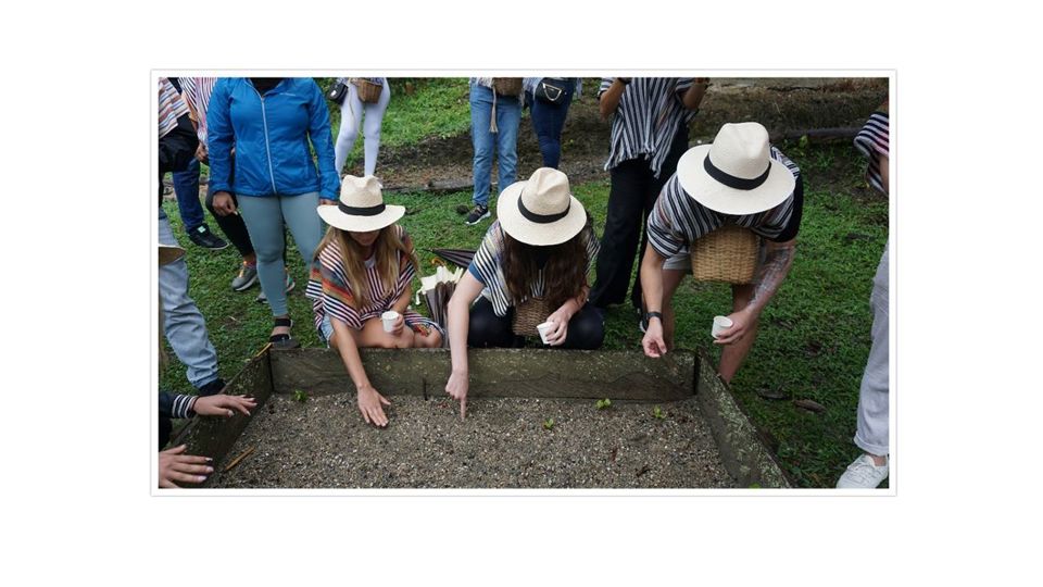 Passeio De Café Em Santa Elena foto 7