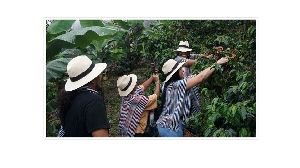 Passeio De Café Em Santa Elena foto 6