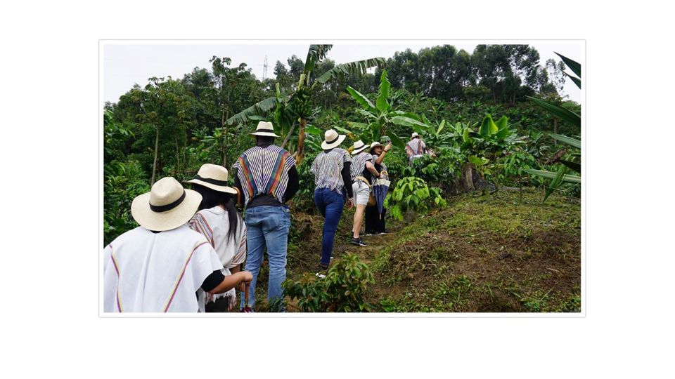 Passeio De Café Em Santa Elena foto 3
