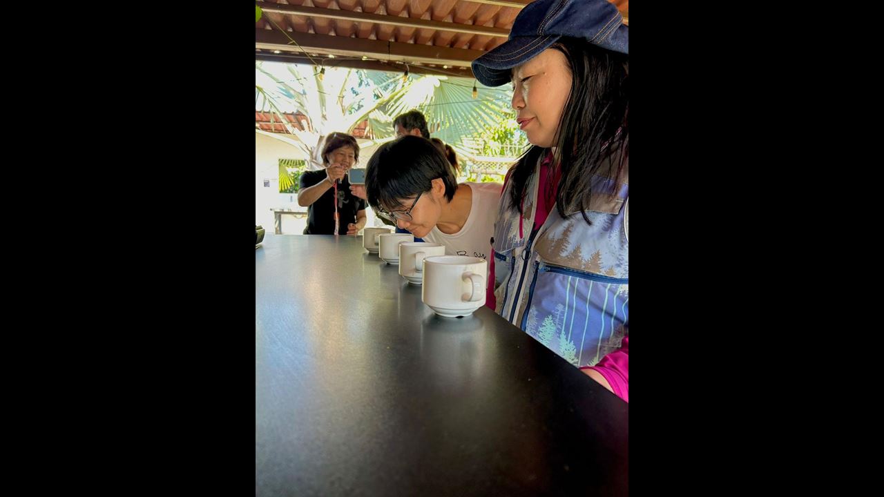 Coffee Cupping Filtering Tour foto 2