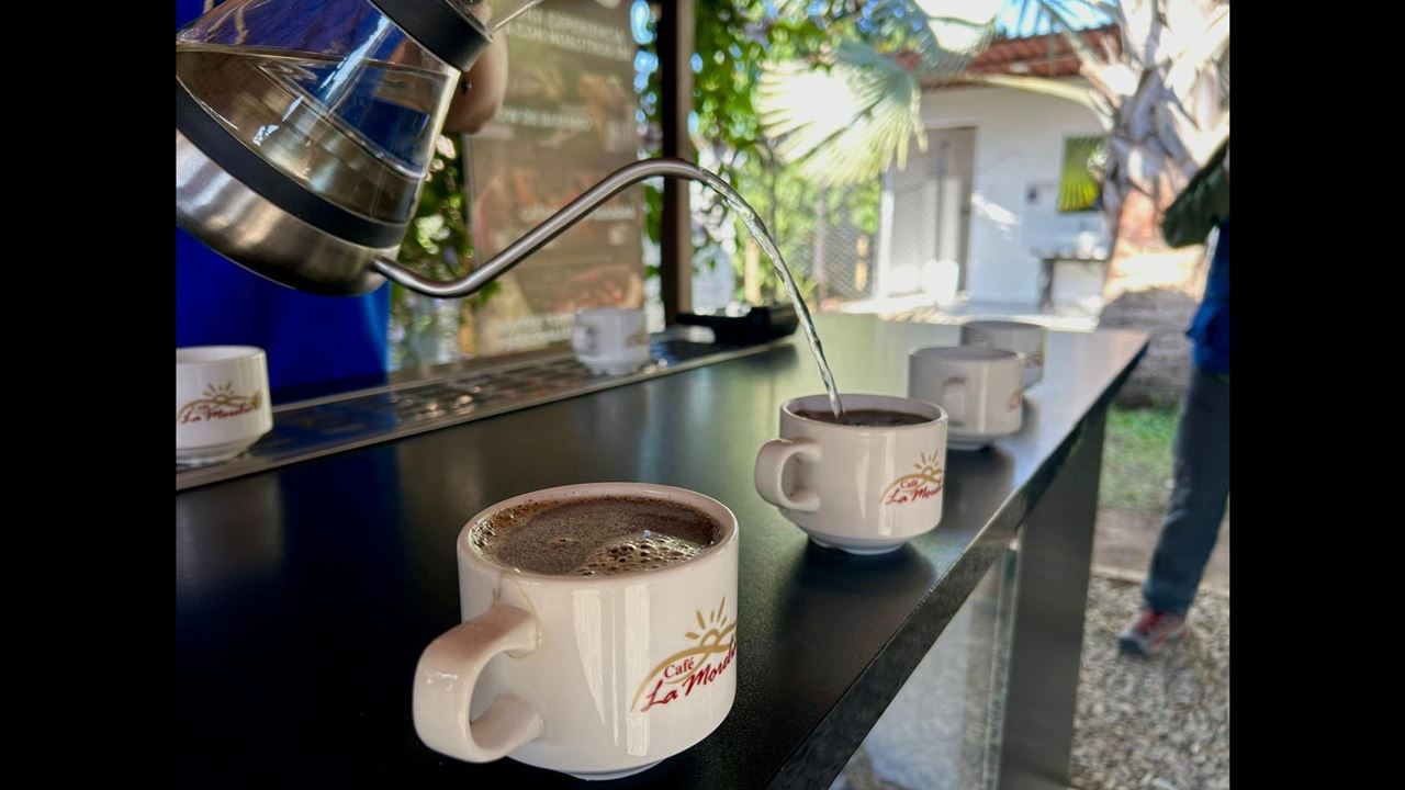 Coffee Cupping Filtering Tour foto 4