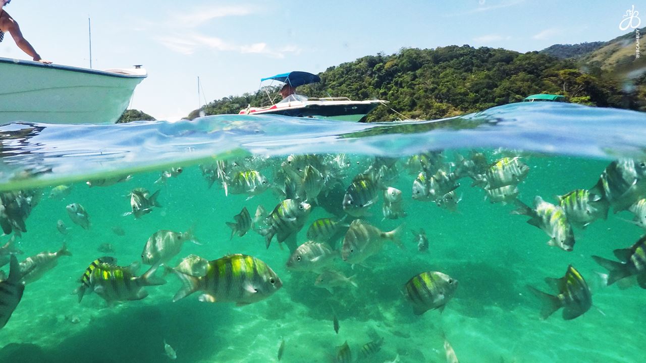 Half Tour Of The Island foto 5