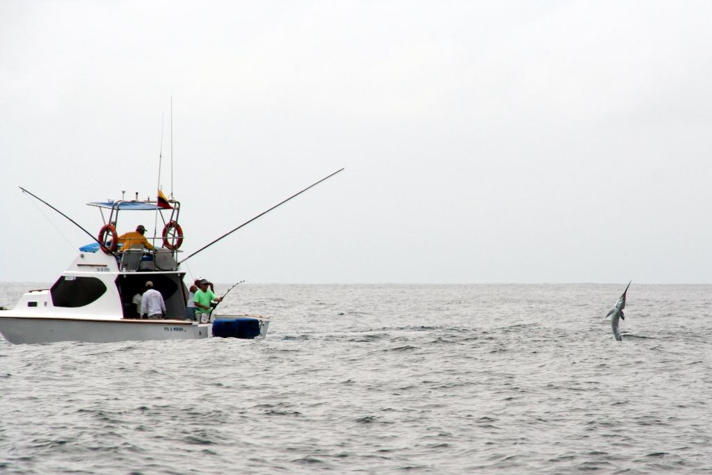 Full Day Fishing Tour foto 2