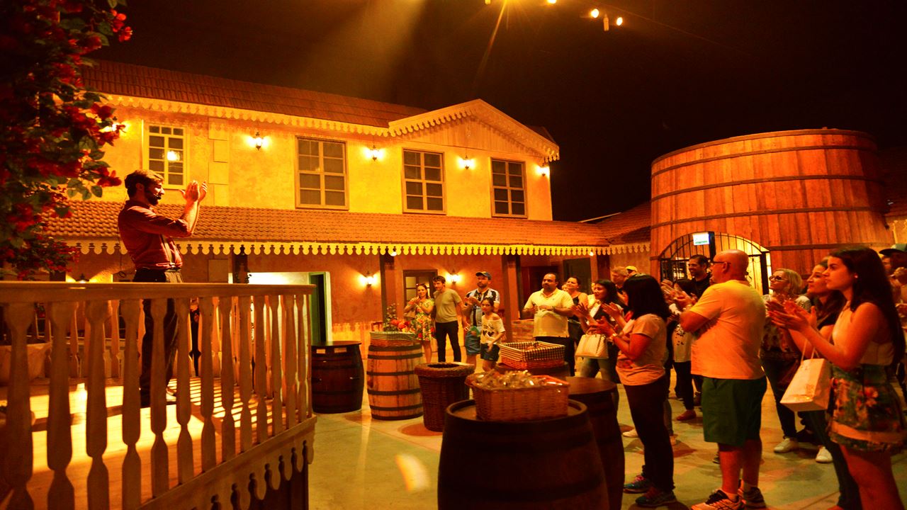 Tour De Uva E Vinho Com Passeio De Trem foto 8