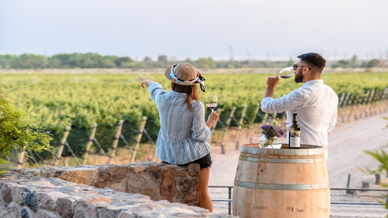 Tour De Vinhos Com Degustação (2)