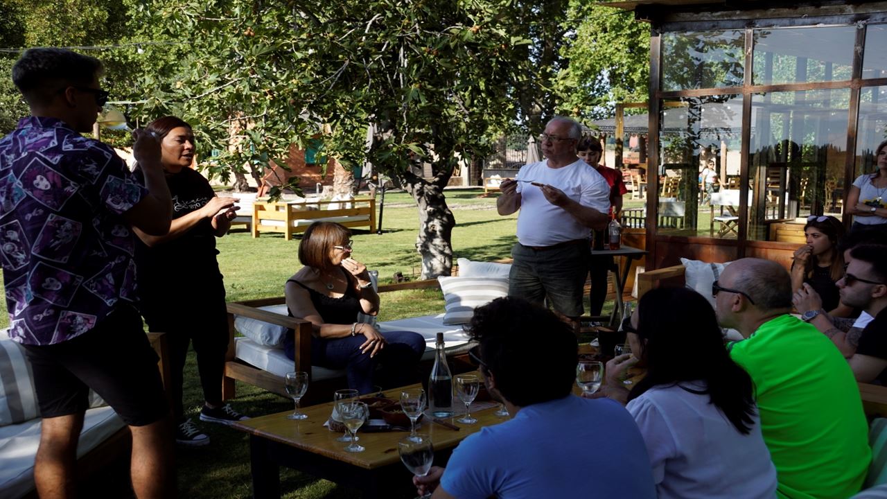 Tour De Vinhos Com Degustação (8)