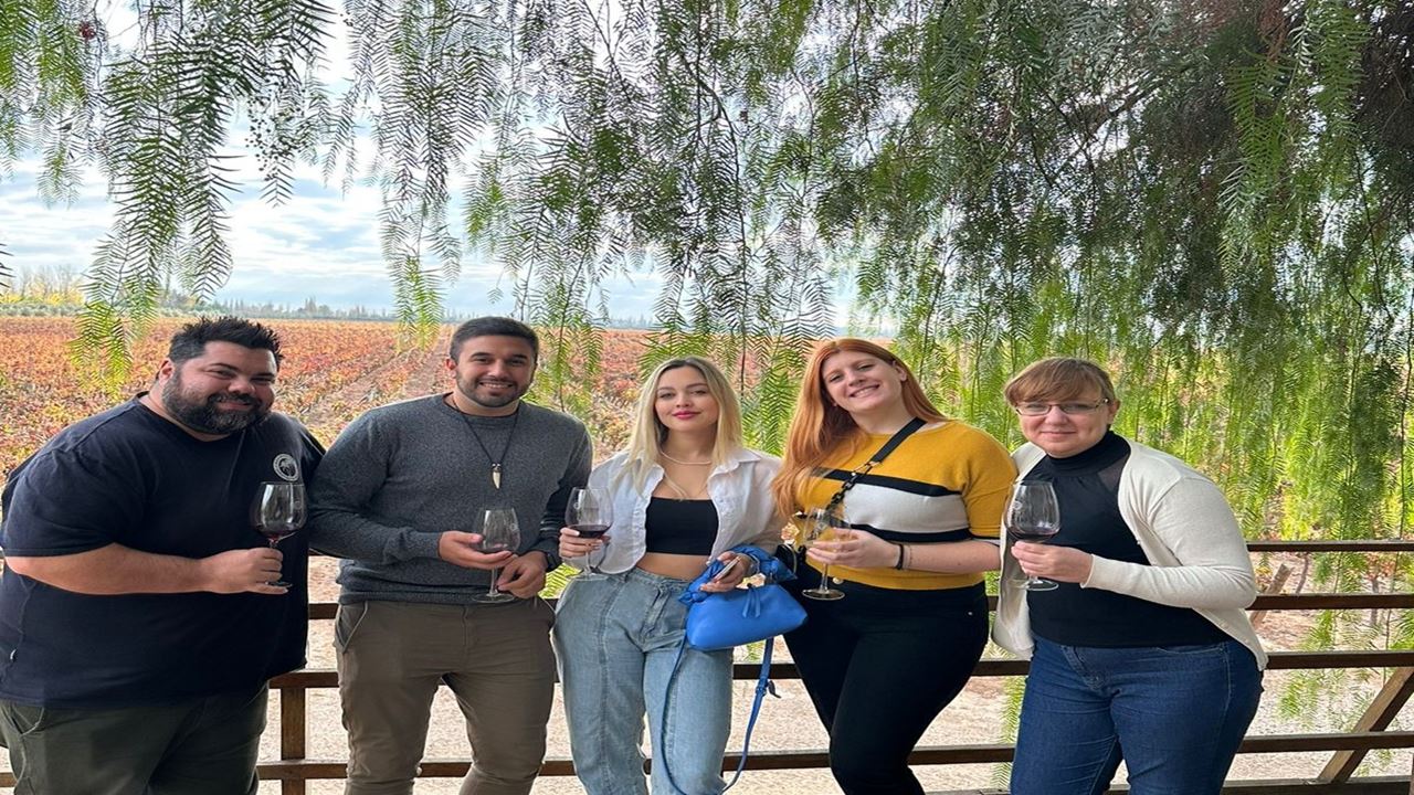 Tour De Vinhos Com Degustação (4)