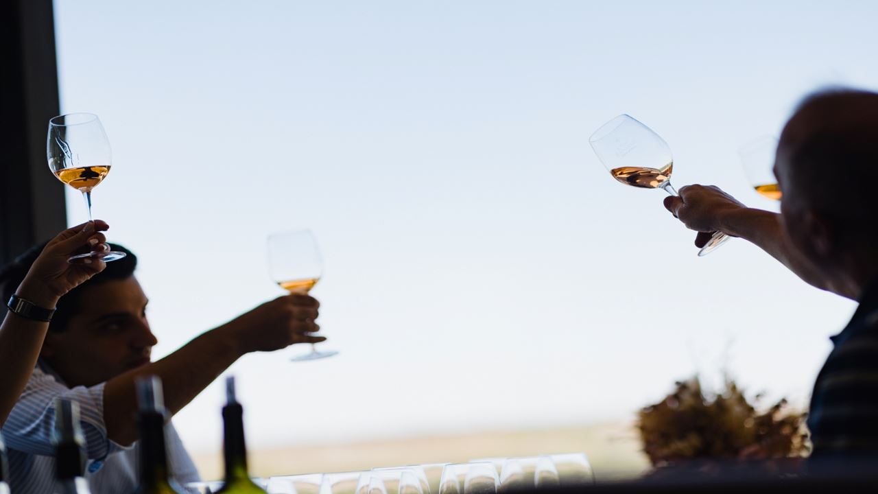 Tour De Vinhos Com Degustação (3)