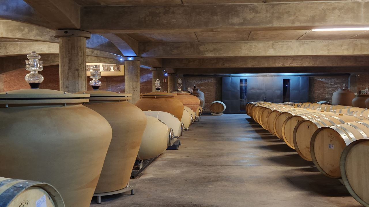 Wine Bus Tour (3)