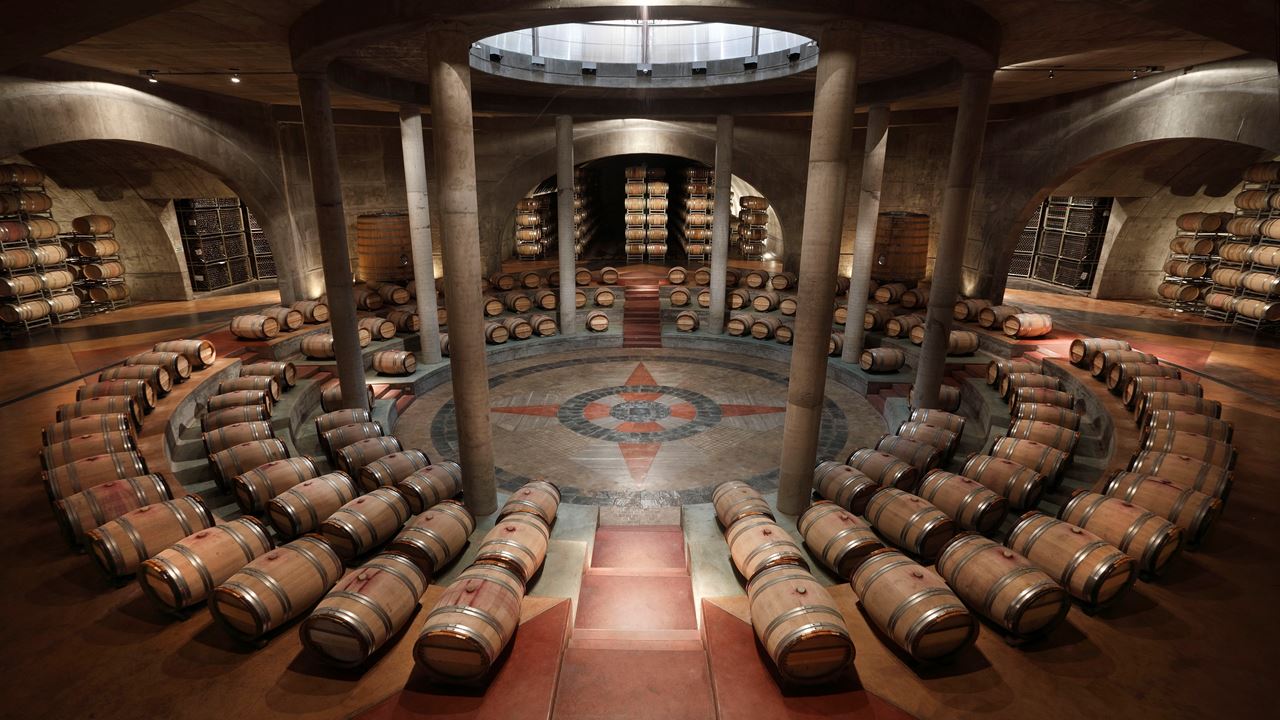 Wine Bus Tour (1)