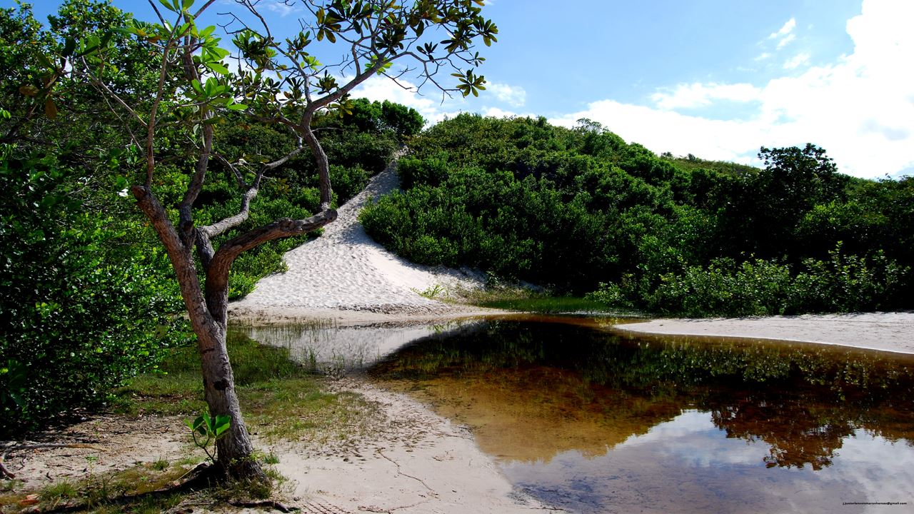Passeio 4x4 À Lagoa Bonita (Grandes Lençóis) foto 3