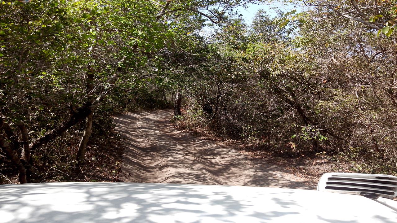 Passeio 4x4 Ao Canto De Atins foto 7