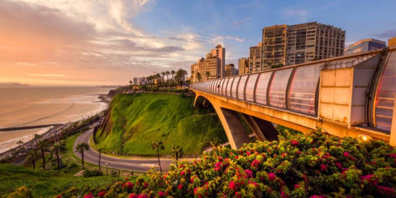 Passeios De Bicicleta E Aulas De Surf (4)