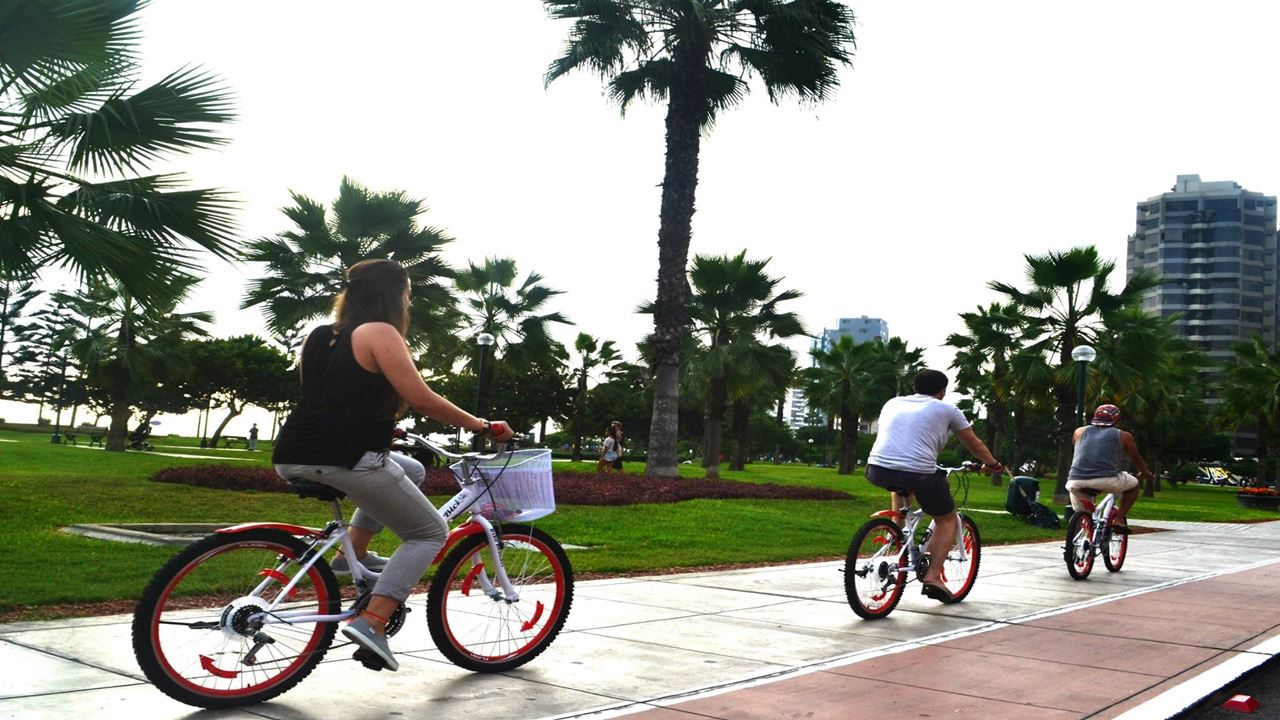 Passeios De Bicicleta E Aulas De Surf (3)