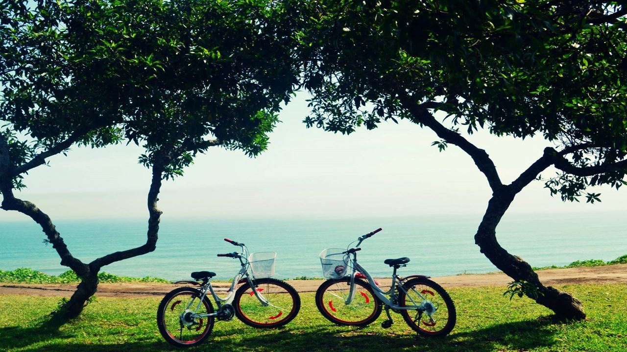 Passeios De Bicicleta E Aulas De Surf (12)