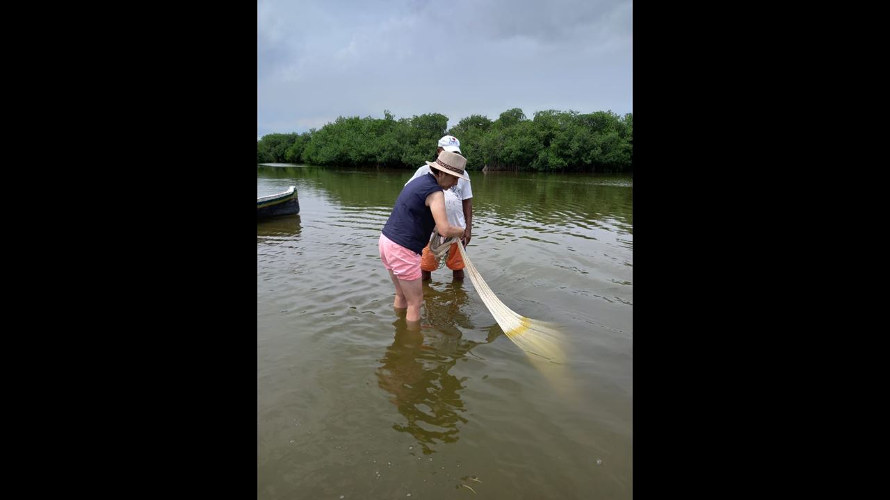 Canoe Tour Through The Mangroves Of The Boquilla (5)