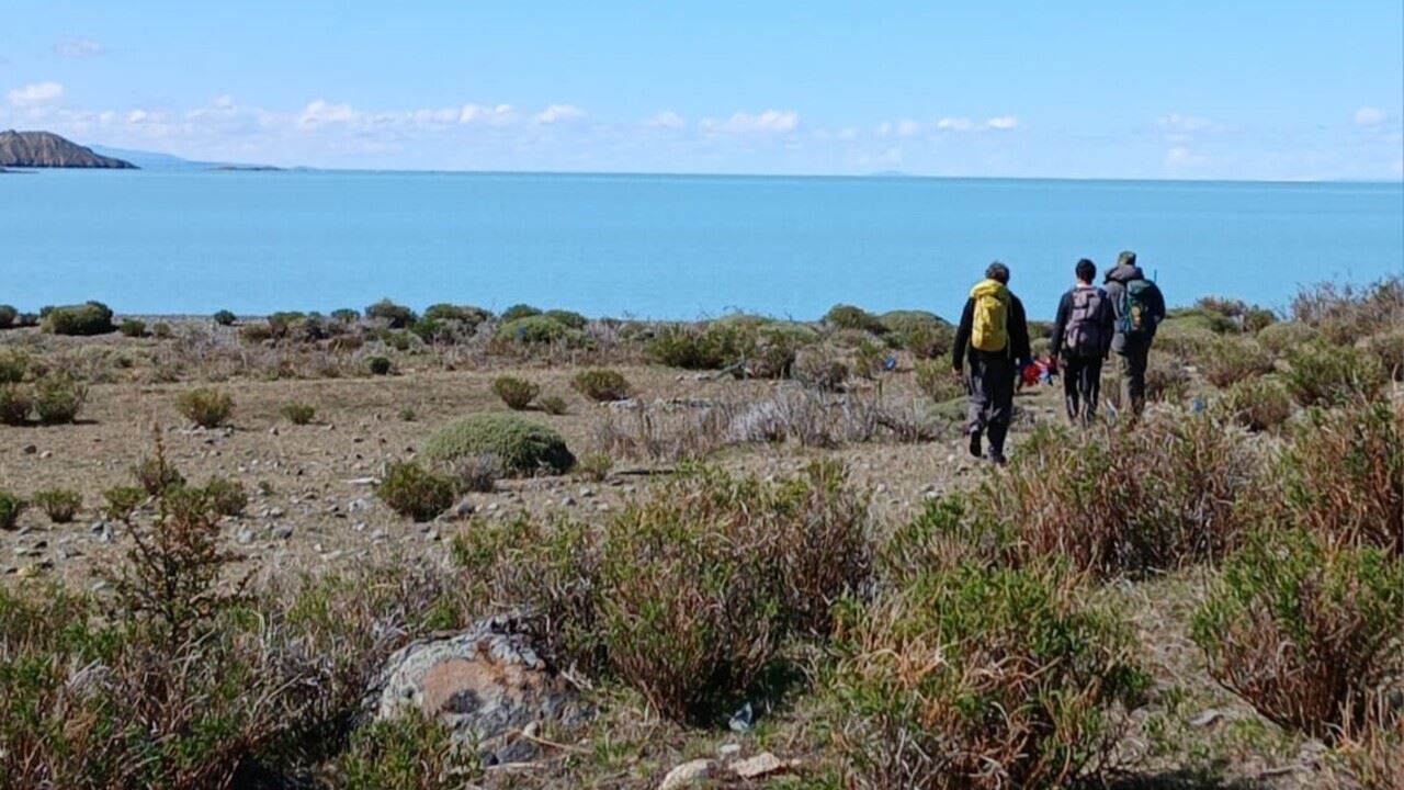 Tour En Chalten Y Navegación En Lago Viedma (8)