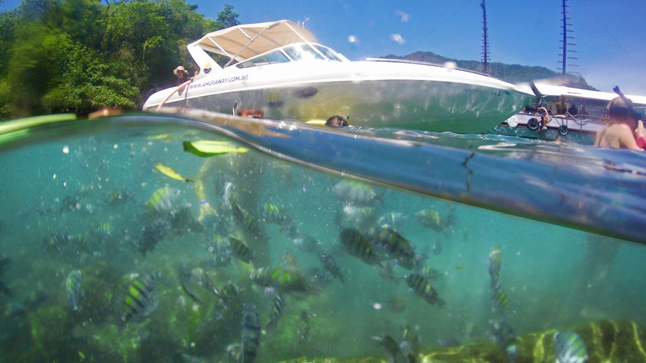 Speedboat Tour To The Paradise Islands Of Angra Dos Reis foto 7