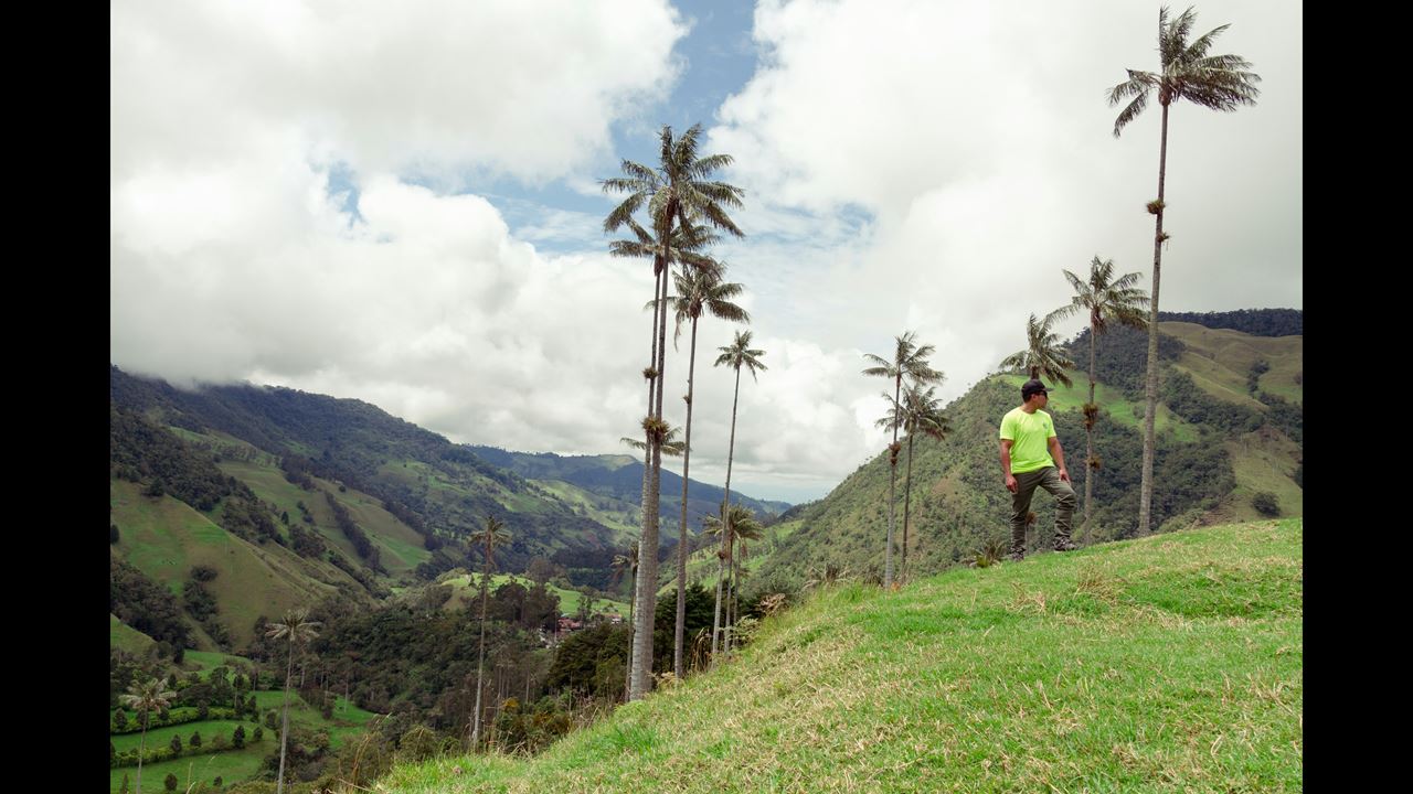 Tour Filandia, Salento Y Valle De Cocora foto 5
