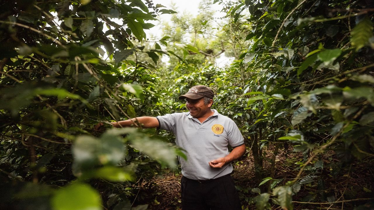 Tour Grupal A Finca Cafetera (4)